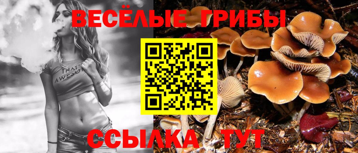 Псилоцибиновые грибы мицелий  Вход с VPN  Тара 